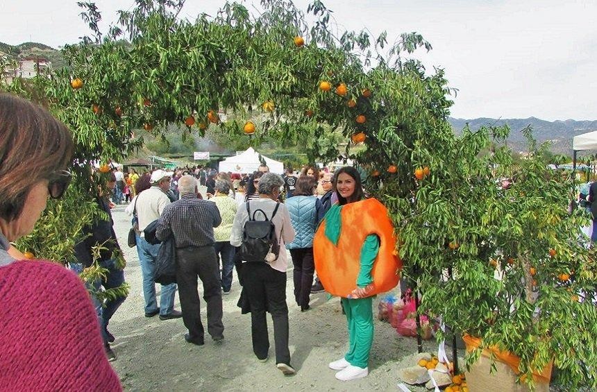 dierona mandarine festival 2019 1 allab