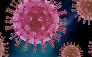 Тестирование на коронавирус: Перезагрузка
